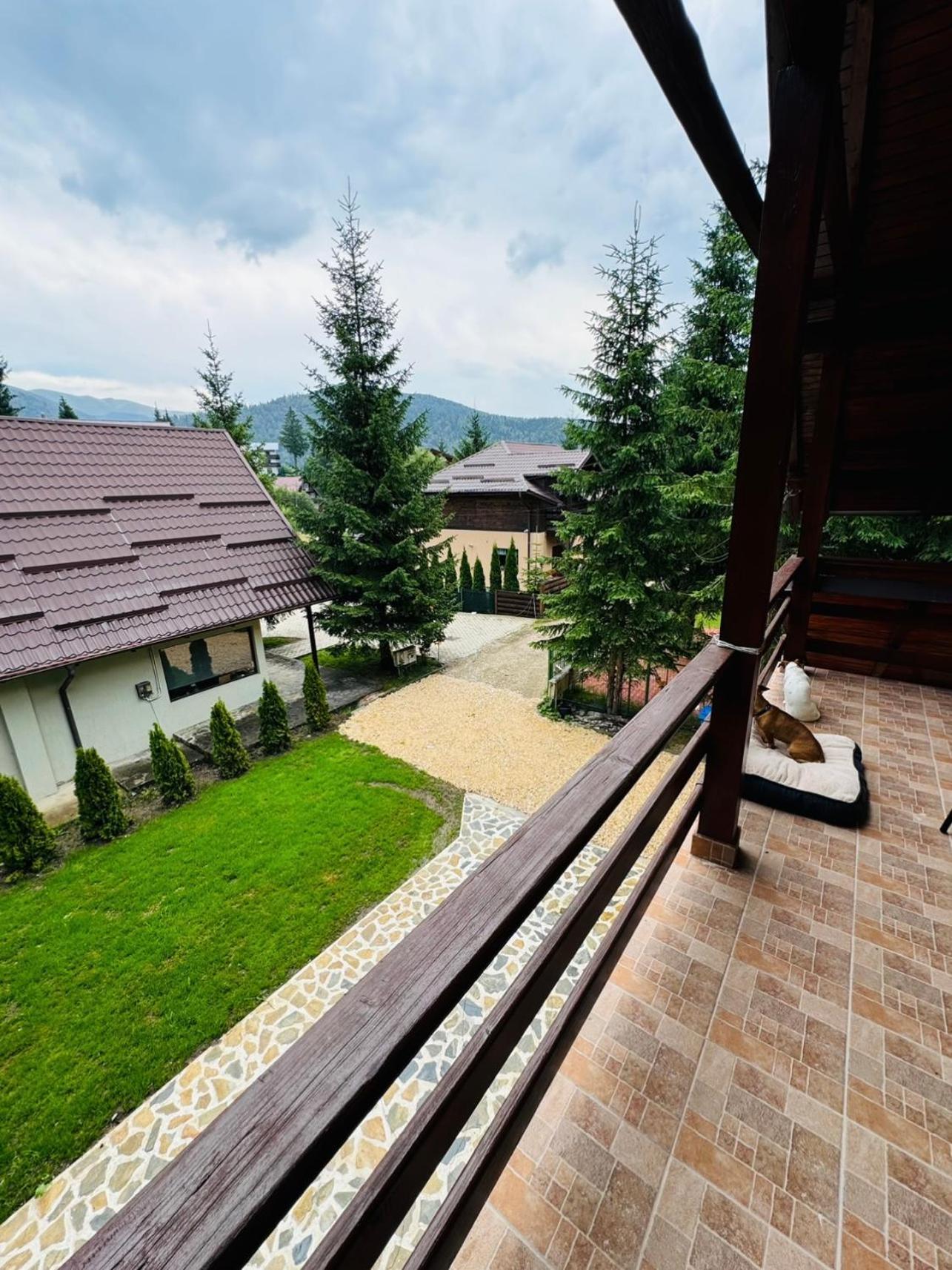 Ollie'S Mountain Chalet Busteni Exterior photo